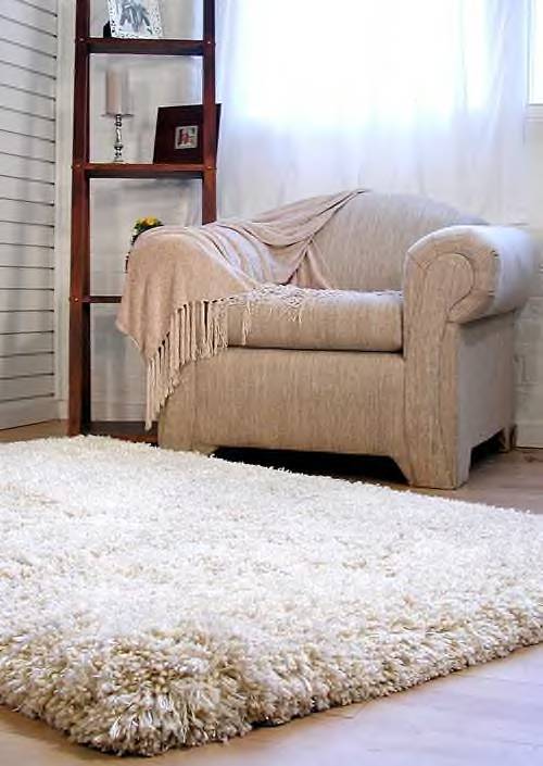 Shag Rugs (10)