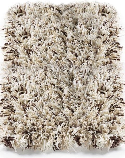 Shag Rugs (14)