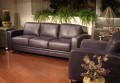 Facts and Care Tips for Leather Furniture